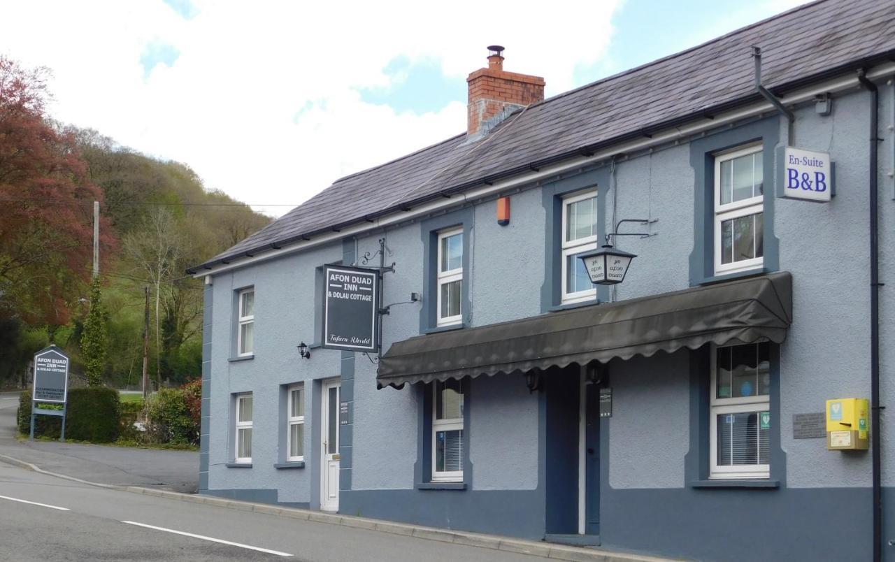 Afon Duad Inn Cwm-Duad Dış mekan fotoğraf
