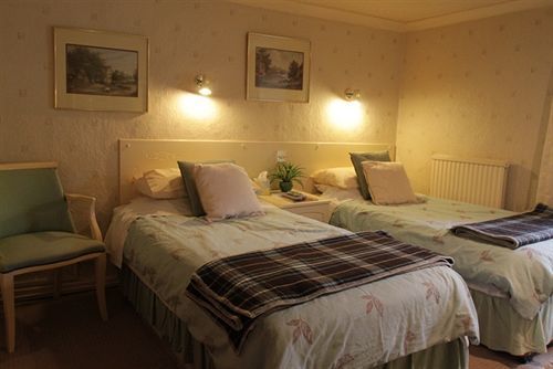 Afon Duad Inn Cwm-Duad Dış mekan fotoğraf