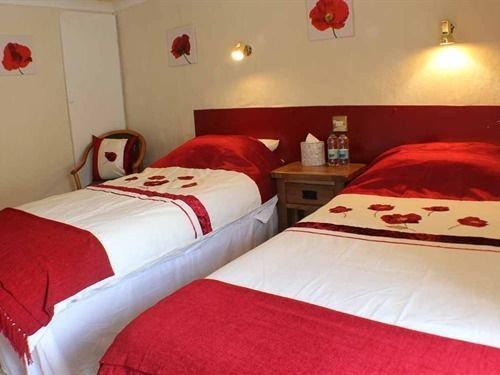 Afon Duad Inn Cwm-Duad Dış mekan fotoğraf